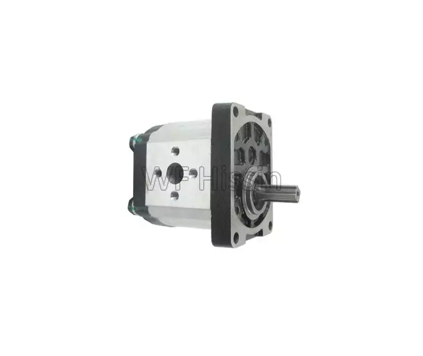 Gear pump FT304.58L.010